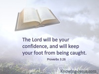 Proverbs 3:26